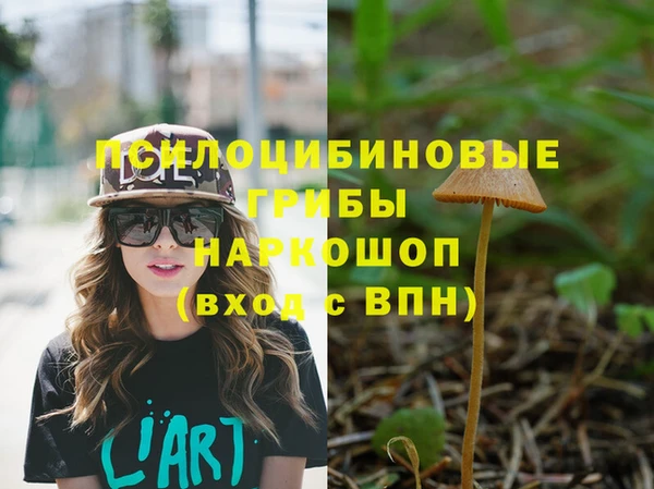 а пвп мука Медвежьегорск
