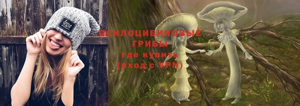 шишки Михайловка