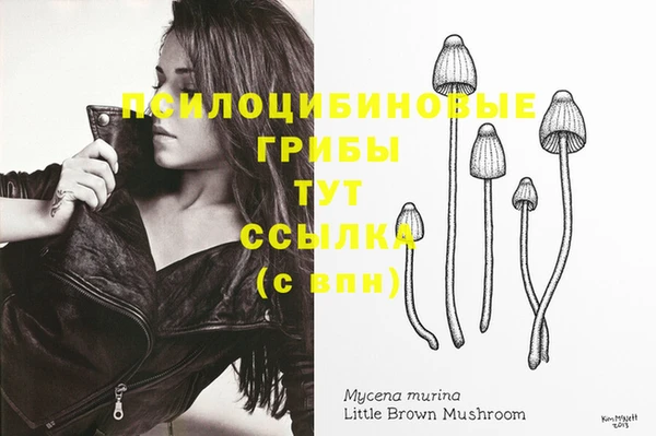 а пвп мука Медвежьегорск