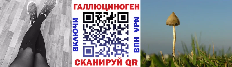 гидра как зайти  Полярные Зори  Галлюциногенные грибы GOLDEN TEACHER 